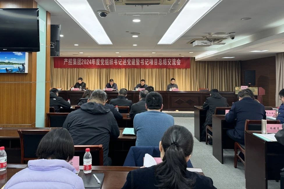 產(chǎn)控集團(tuán)召開2024年度黨組織書記述黨建暨書記項(xiàng)目...
